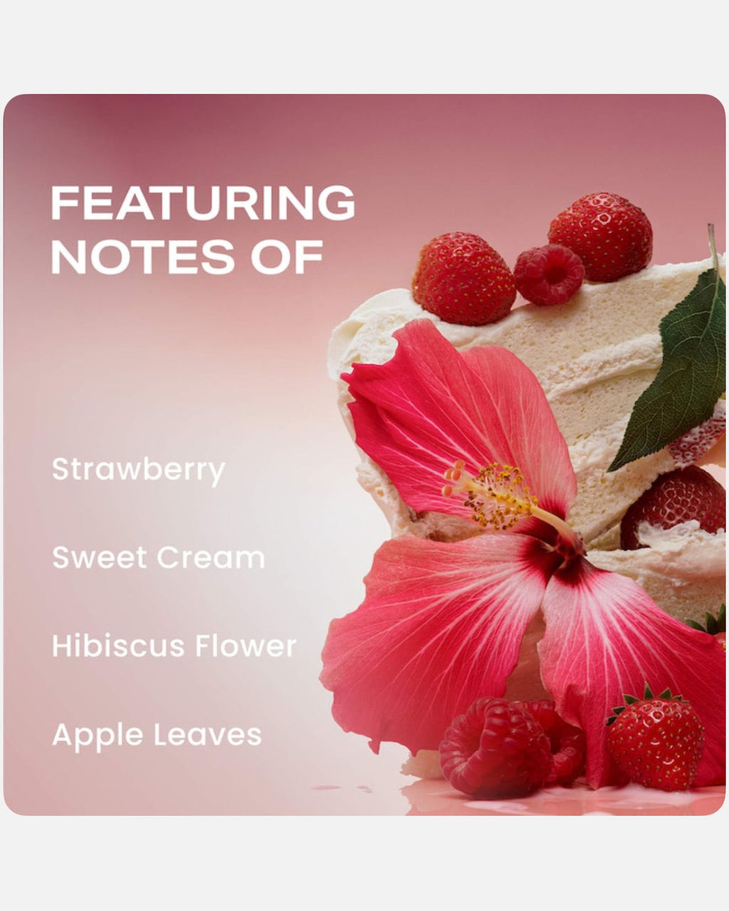 PHLUR Berry Matcha Latte Set