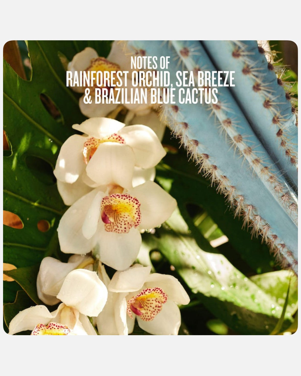 Sol de Janeiro Refresco Paraíso Hair & Body Perfume Mist