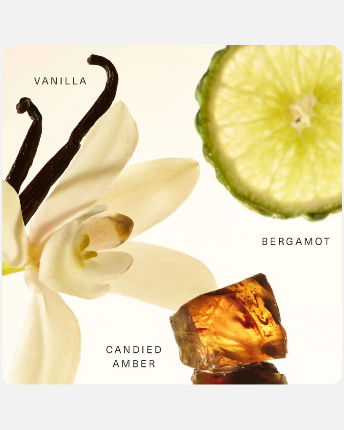 Rare Beauty by Selena Gomez Amber Vanilla Rare Fragrance Layering Balm