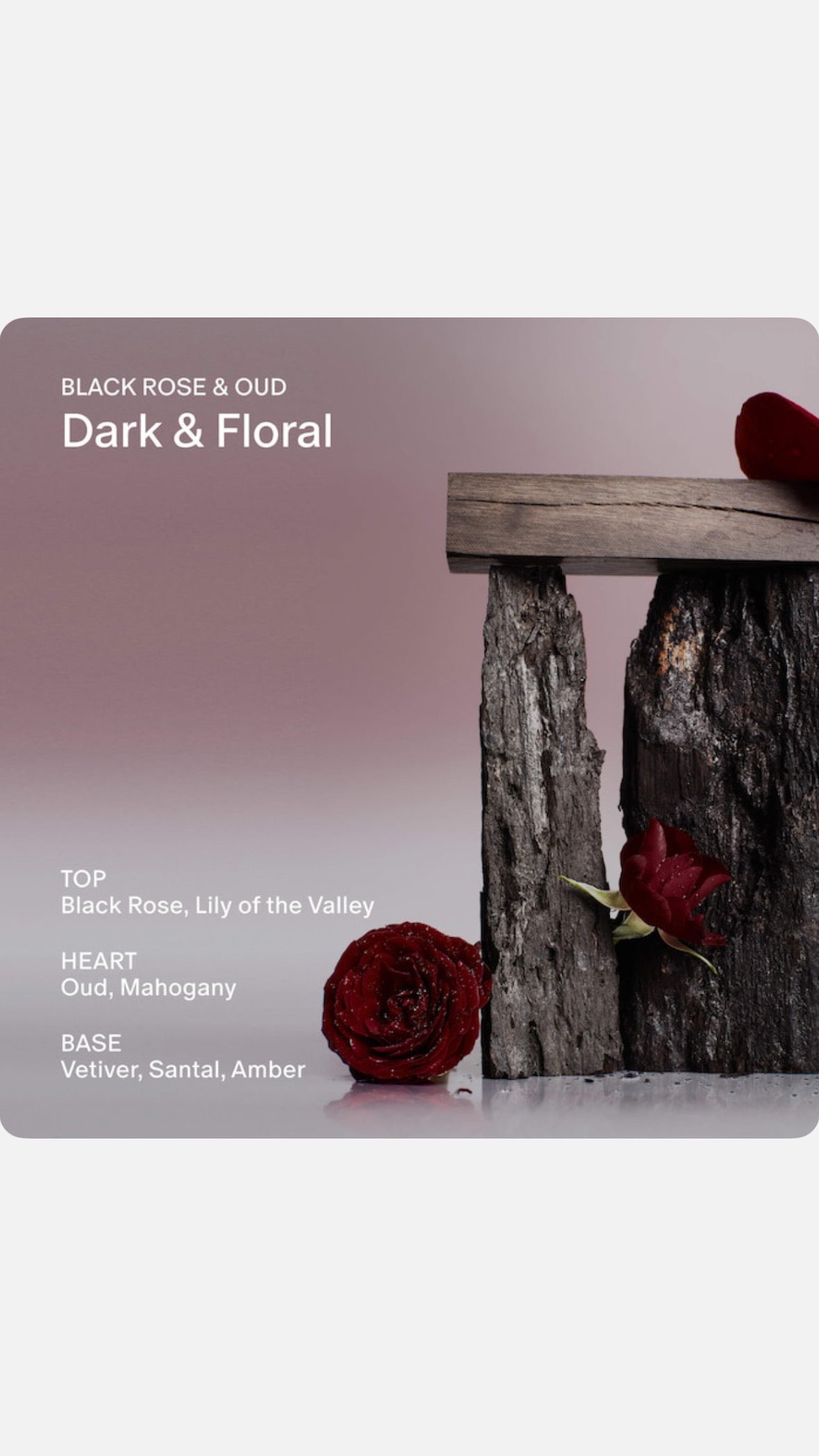 Salt & Stone Black Rose & Oud Extra-Strength Aluminum-Free Deodorant
