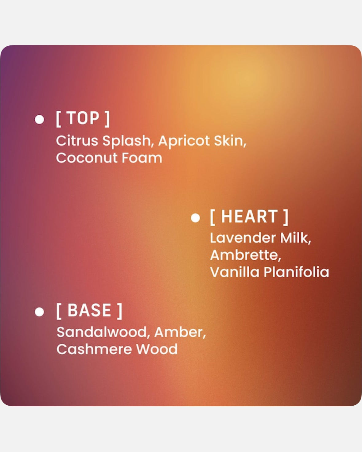 PHLUR Afterglow Eau de Parfum with Amber