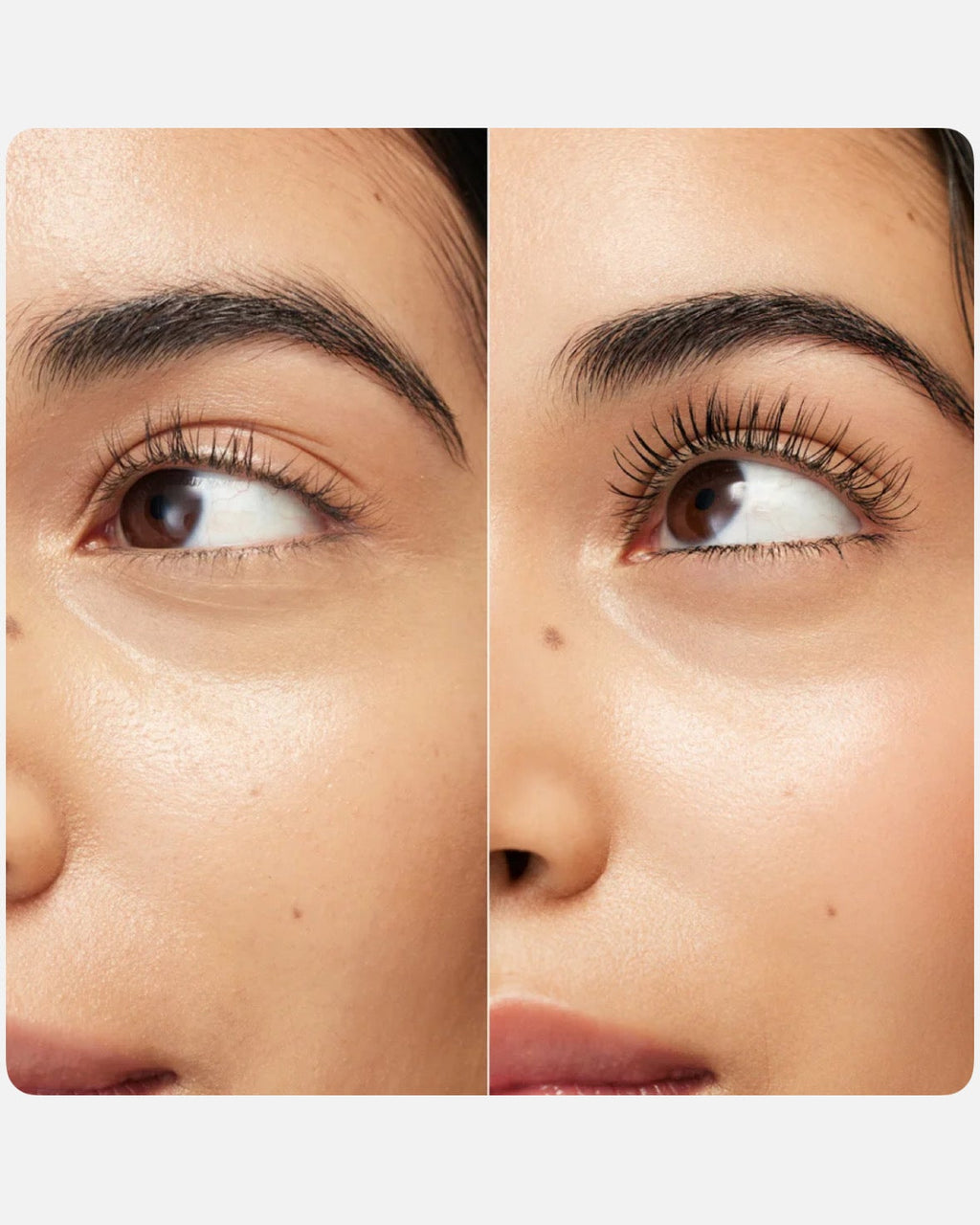 Westman Atelier Eye Want You Mascara